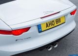 jaguar_2014-f-type_1600x1200_100.jpg