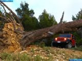 jeep_2012-wrangler_1600x1200_019.jpg