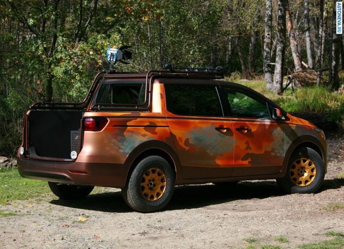 2015 Kia Sedona Photo Safari Concept - фотография 5 из 17