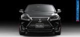 wald_2015_lexus_nx_black_bison_008.jpg
