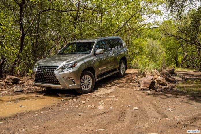 2020 Lexus GX 460 - фотография 6 из 40