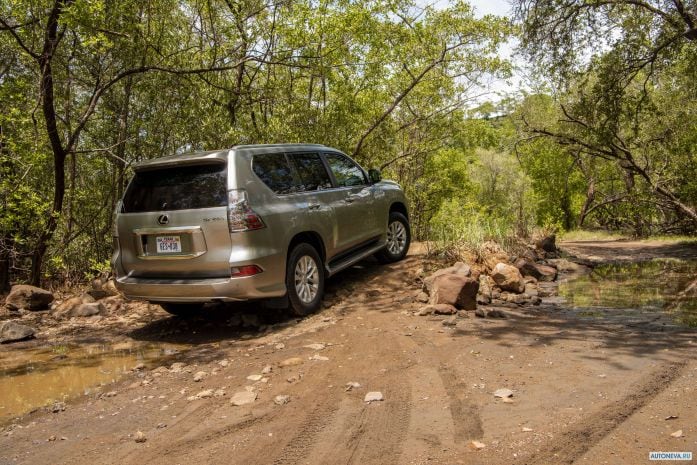 2020 Lexus GX 460 - фотография 15 из 40