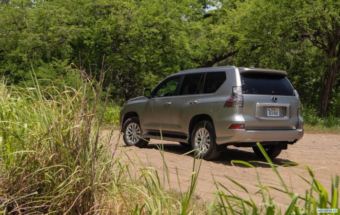 2020 Lexus GX 460 - фотография 16 из 40