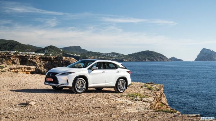2020 Lexus RX 300 - фотография 3 из 5