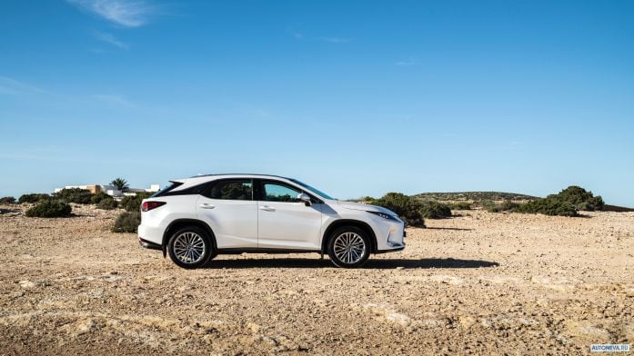 2020 Lexus RX 300 - фотография 4 из 5