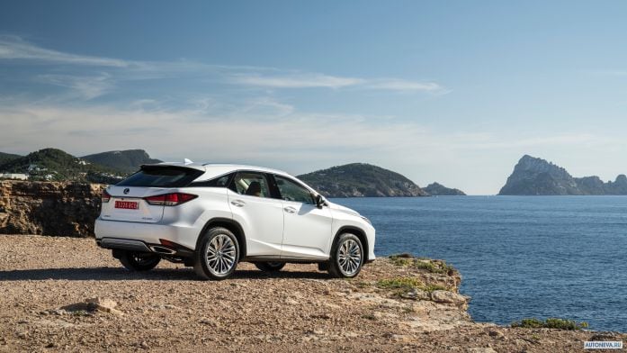 2020 Lexus RX 300 - фотография 5 из 5