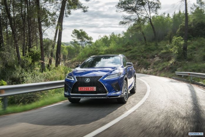 2020 Lexus RX 300 F-Sport - фотография 4 из 40