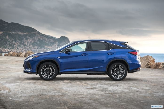 2020 Lexus RX 300 F-Sport - фотография 15 из 40