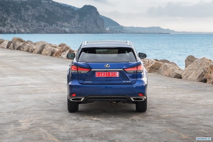 2020 Lexus RX 300 F-Sport - фотография 25 из 40 2020 Lexus RX 300 F-Sport - фотография 25 из 40