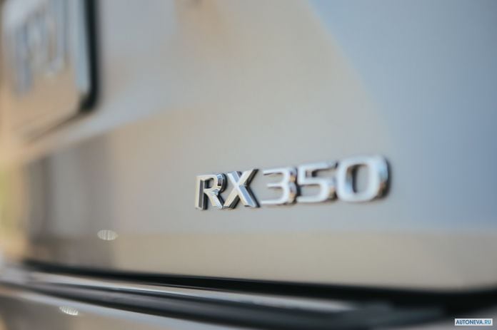 2020 Lexus RX 350 F-Sport - фотография 13 из 13