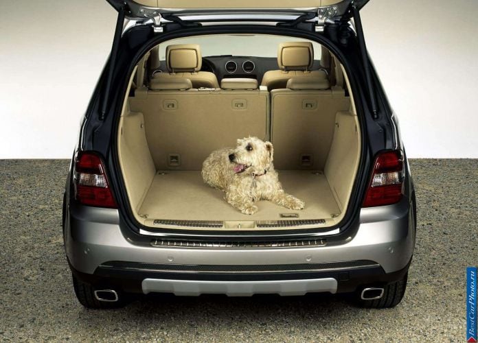2006 Mercedes-Benz ML500 - фотография 53 из 75