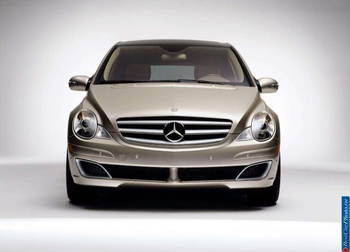 2006 Mercedes-Benz R500 - фотография 21 из 100