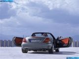 mercedes-benz_2008-slk-class_1600x1200_008.jpg