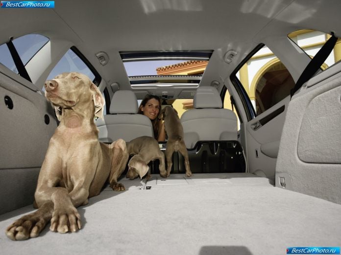 2009 Mercedes-Benz B-class - фотография 41 из 60 2009 Mercedes-Benz B-class - фотография 41 из 60