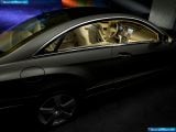 mercedes-benz_2010-e-class_coupe_1600x1200_125.jpg
