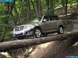 mercedes-benz_2010-glk-class_1600x1200_009.jpg