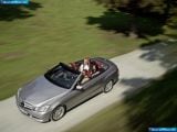 mercedes-benz_2011-e-class_cabriolet_1600x1200_040.jpg