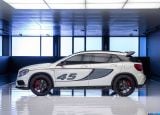 mercedes-benz_2013-gla45_amg_concept_1600x1200_009.jpg