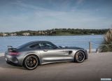 mercedes-benz_2017_amg_gt_r_060.jpg