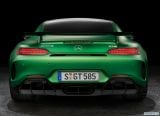 mercedes-benz_2017_amg_gt_r_089.jpg