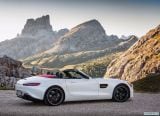 mercedes-benz_2017_amg_gt_roadster_017.jpg