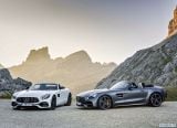 mercedes-benz_2017_amg_gt_roadster_021.jpg