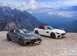 mercedes-benz_2017_amg_gt_roadster_022.jpg