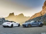 mercedes-benz_2017_amg_gt_roadster_023.jpg