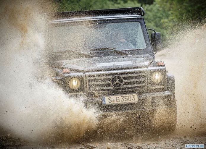 2017 Mercedes-Benz G350D Professional - фотография 6 из 17