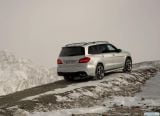 mercedes-benz_2017_gls_086.jpg