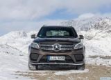 mercedes-benz_2017_gls_096.jpg