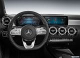 mercedes-benz_2019_a_class_100.jpg