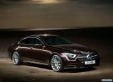 mercedes-benz_2019_cls_012.jpg