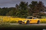 mercedes-benz_2020_amg_gt_r_na_008.jpg