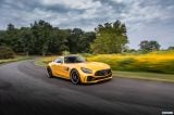 mercedes-benz_2020_amg_gt_r_na_010.jpg