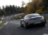 mercedes-benz_2020_amg_gt_r_pro_015.jpg