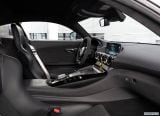 mercedes-benz_2020_amg_gt_r_pro_018.jpg