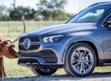 mercedes-benz_2020_gle_194.jpg