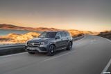 mercedes-benz_2020_gls_slasse_amg_line_008.jpg