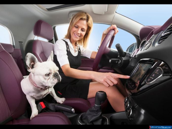 2013 Opel Adam - фотография 23 из 30