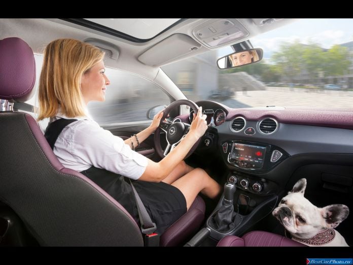 2013 Opel Adam - фотография 24 из 30