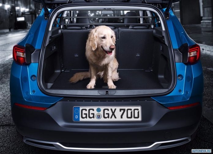 2018 Opel Grandland X - фотография 51 из 66