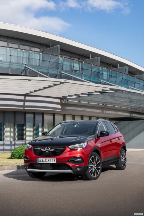2019 Opel Grandland X Hybrid4 - фотография 6 из 14
