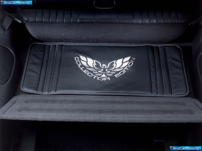 2002 Pontiac Firebird Trans Am Edition - фотография 8 из 8
