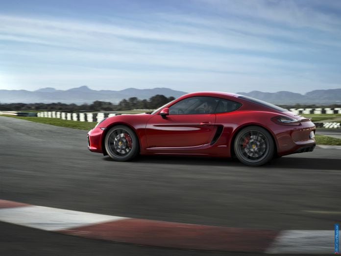 2014 Porsche Cayman GTS - фотография 5 из 6