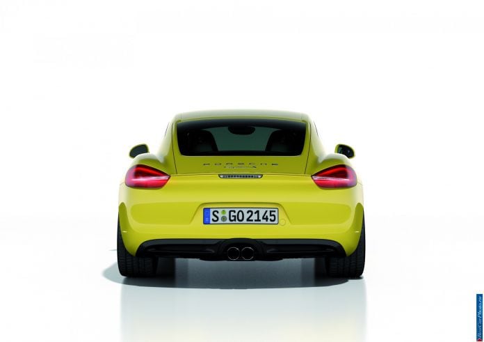 2014 Porsche Cayman S - фотография 19 из 28