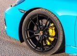 porsche_2018_718_boxster_gts_110.jpg