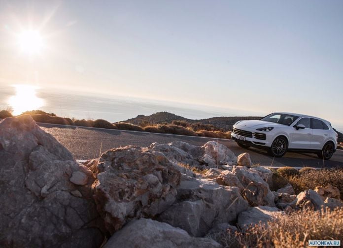 2018 Porsche Cayenne - фотография 31 из 242