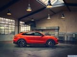 porsche_2019_cayenne_turbo_coupe_012.jpg