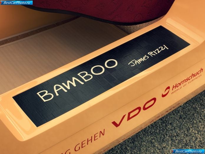 2011 Rinspeed Bamboo Concept - фотография 35 из 54